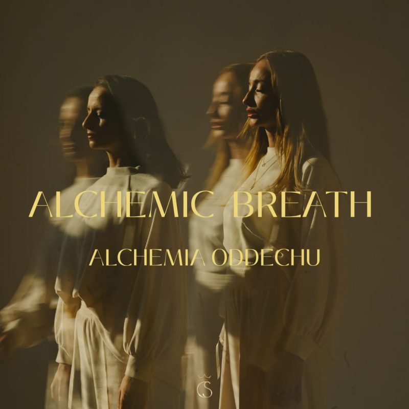 Zdjęcie WhatsApp 2025-09-10 o 17.44.56_01f341f1